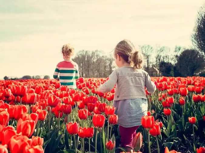 dos niños caminando en un campo de flores rojas importancia de la infancia en la vida del ser humano